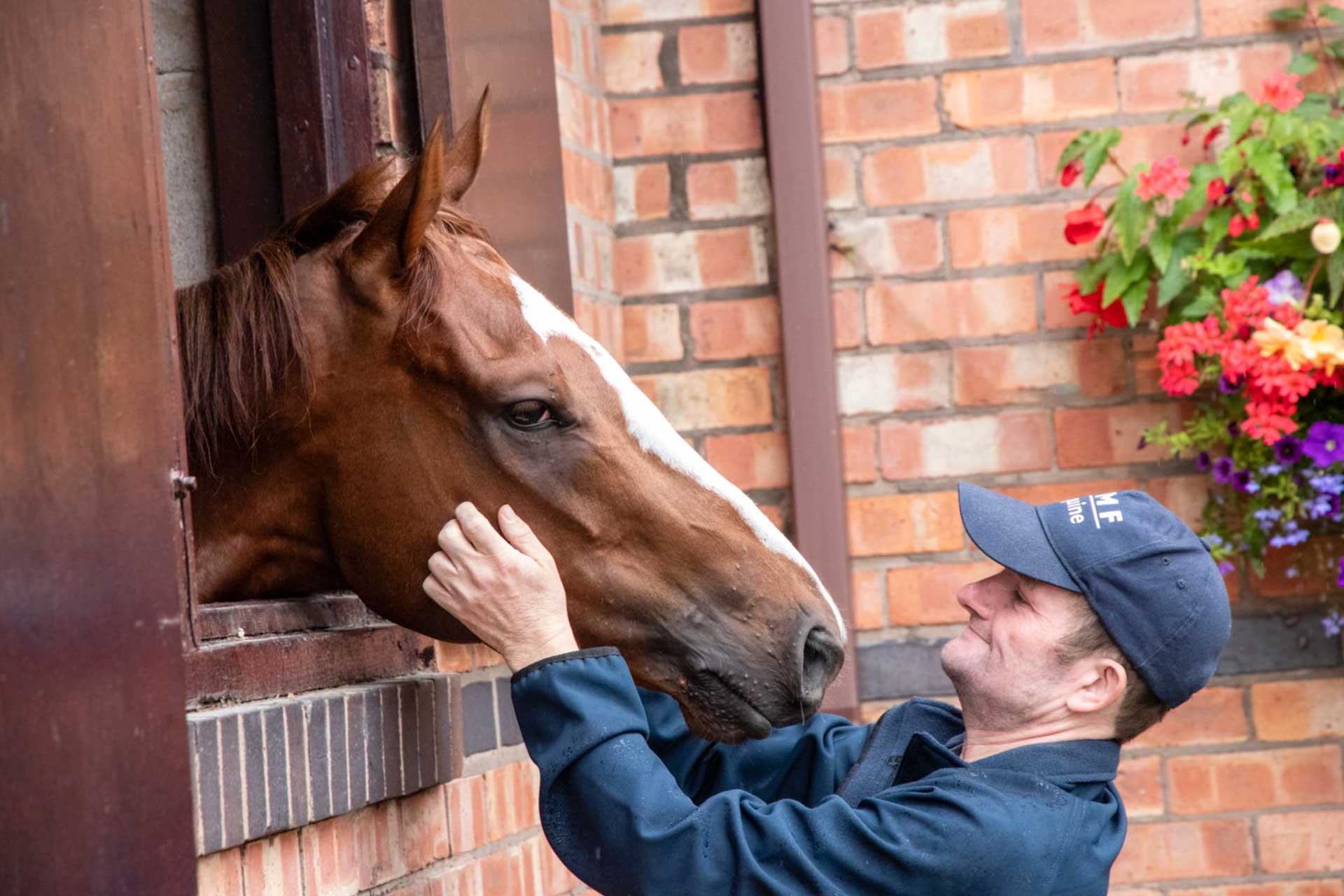 equine-course